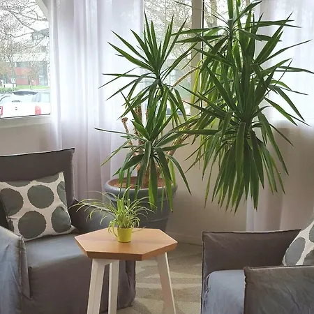 Ibis Styles Hotel